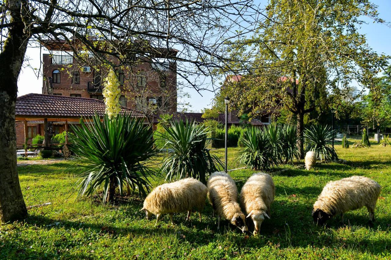 Hotel Chateau Chikovani Gordi Exterior foto